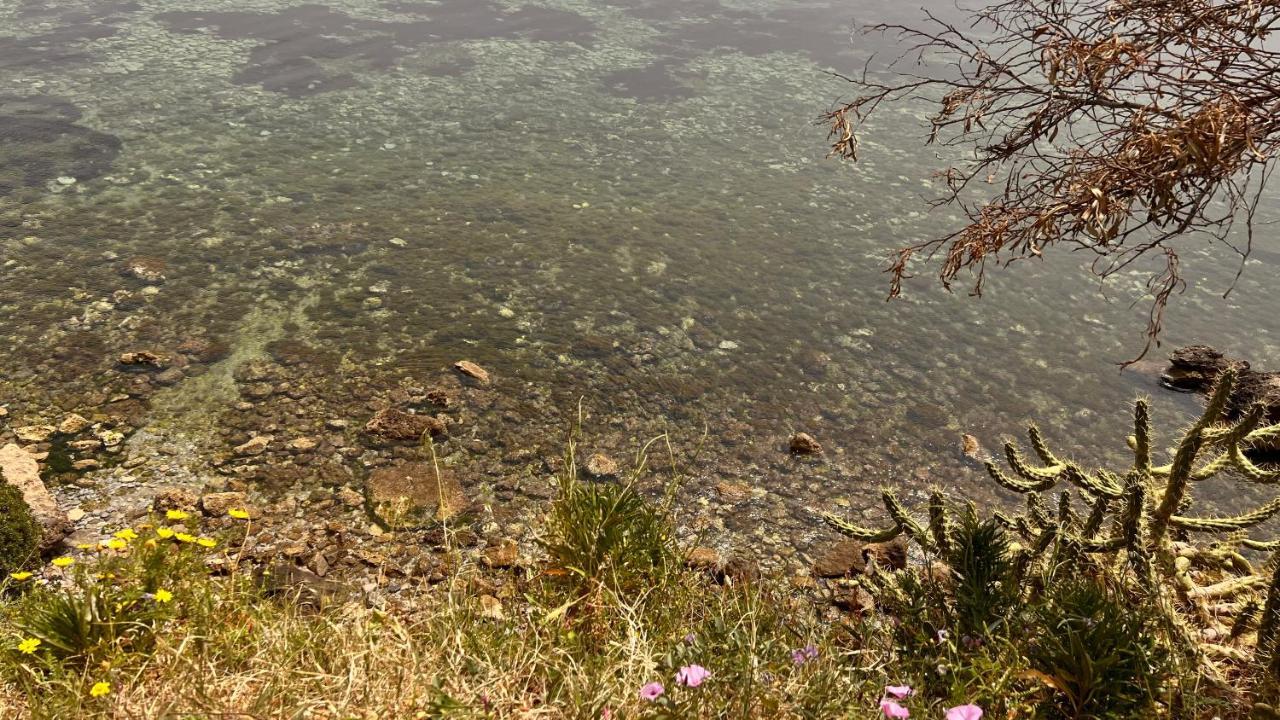 La Casetta Di Maria Daire Santa Flavia Dış mekan fotoğraf