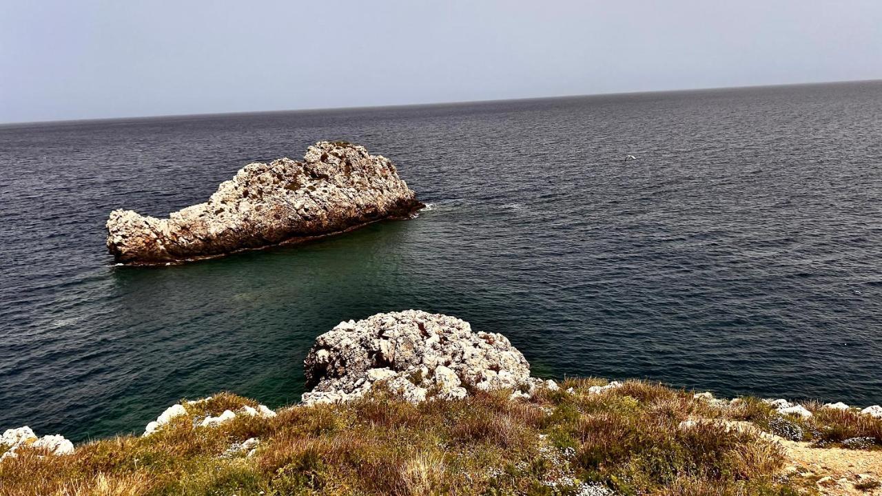 La Casetta Di Maria Daire Santa Flavia Dış mekan fotoğraf